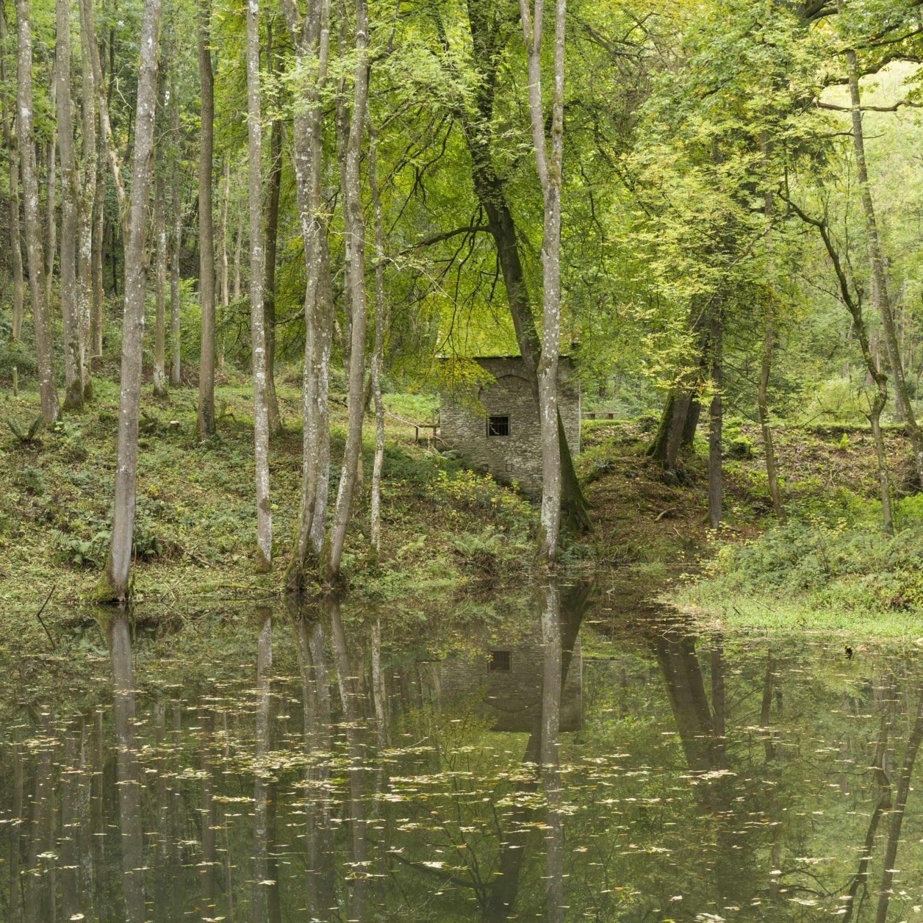 Fishpool Valley at Croft Castle