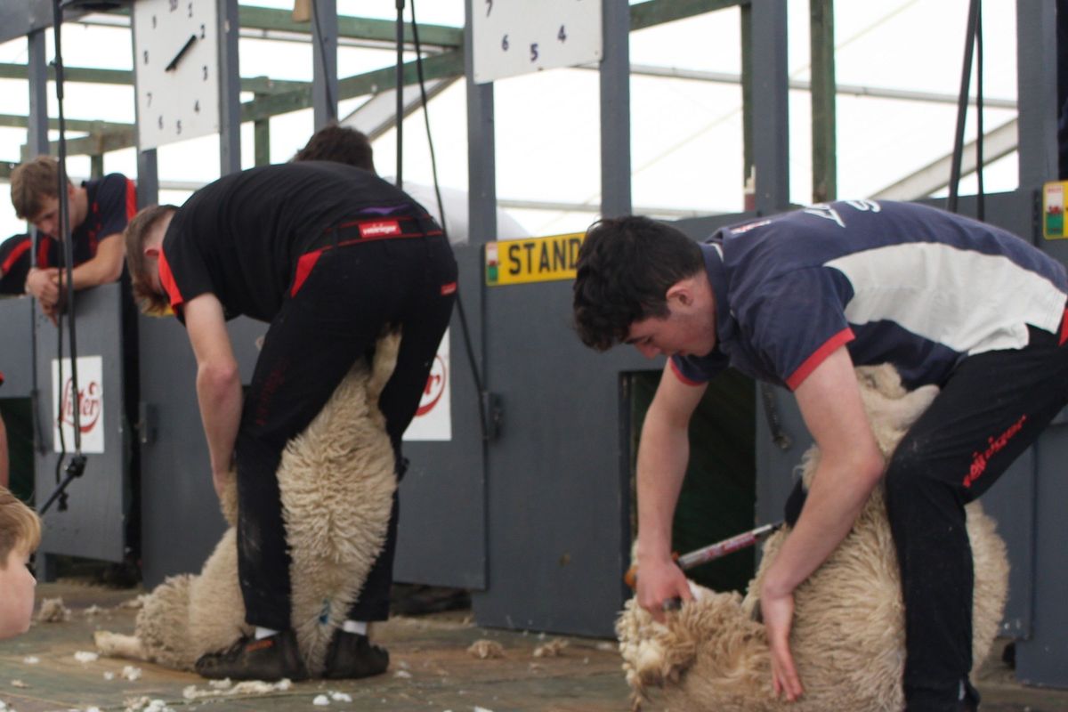 Kington Show
