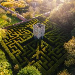 Airiel View of the Yew Tree Hedge Maze and tower in the centre. Credit Lovel
