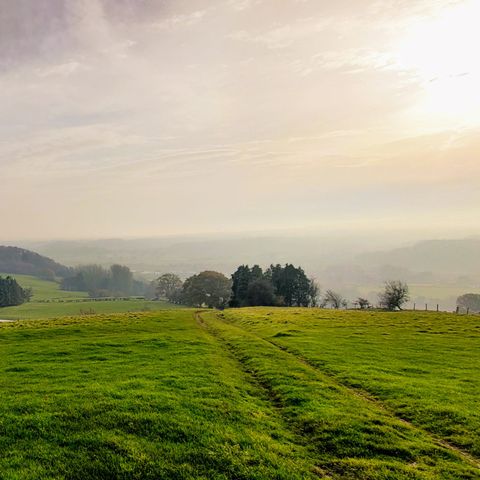 Golden Valley
