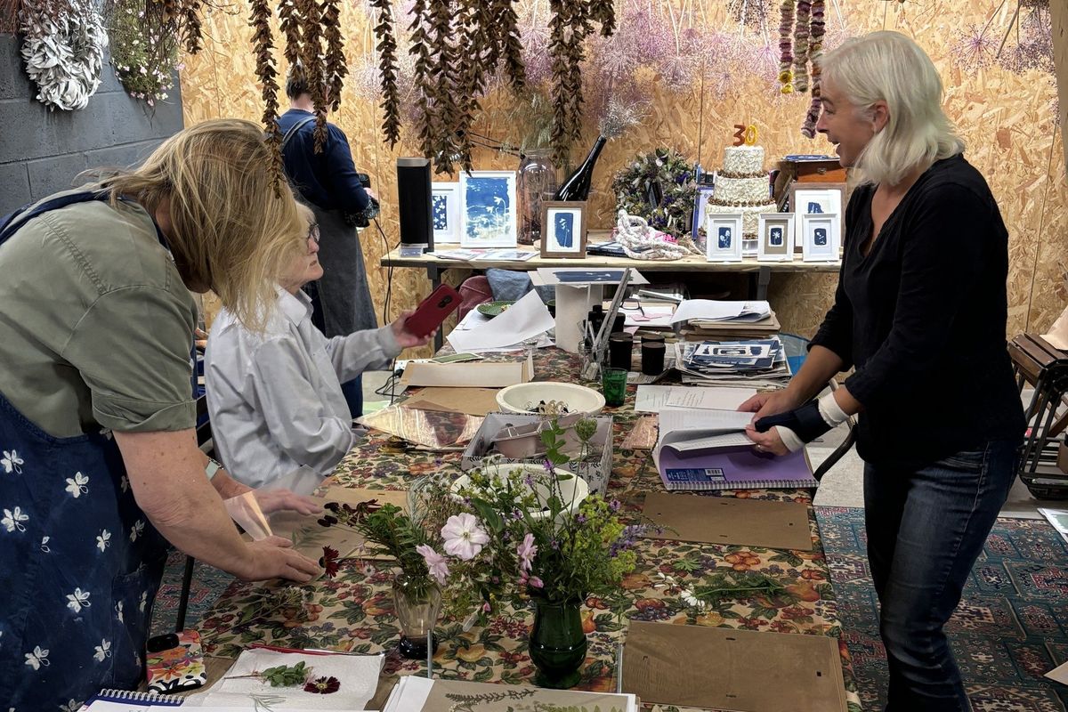 Cyanotype Blueprinting Workshops. Alexa Summers Art.