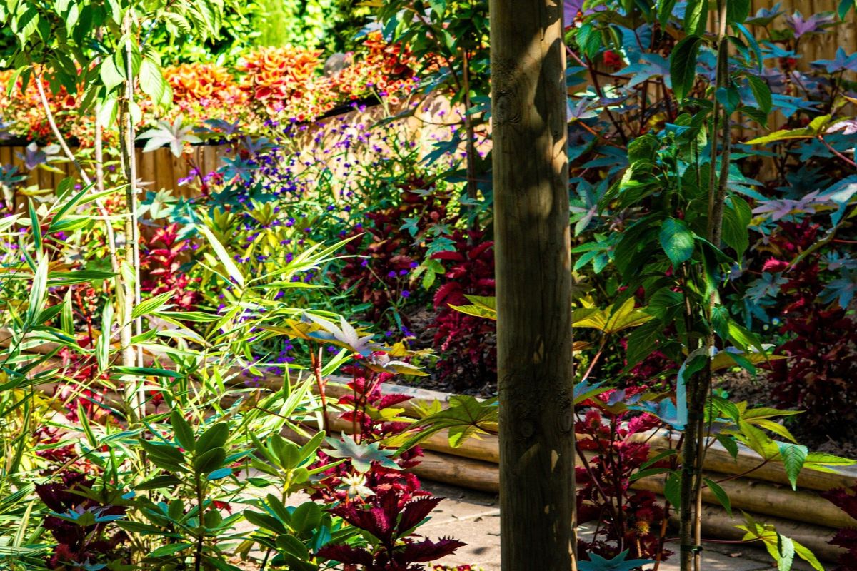 National Garden Scheme Open Day
