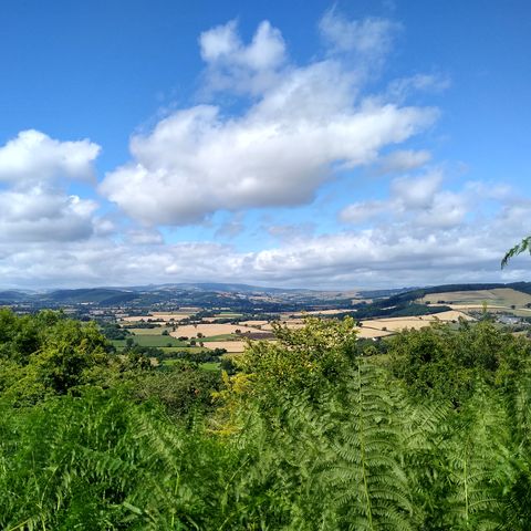 Mortimer Trail