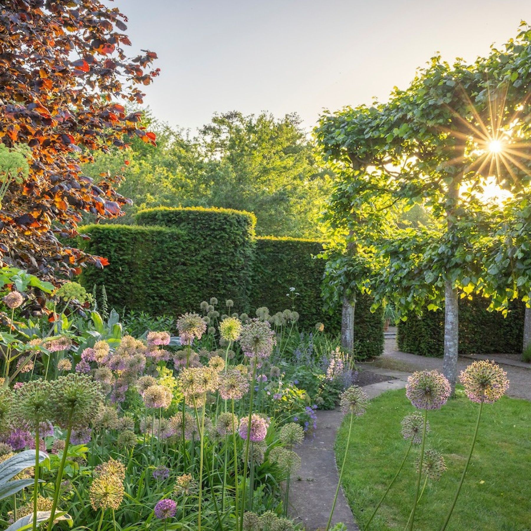 Image of the historic walled garden with the sun low peaking through the trees. Credit Jonathan Buckley