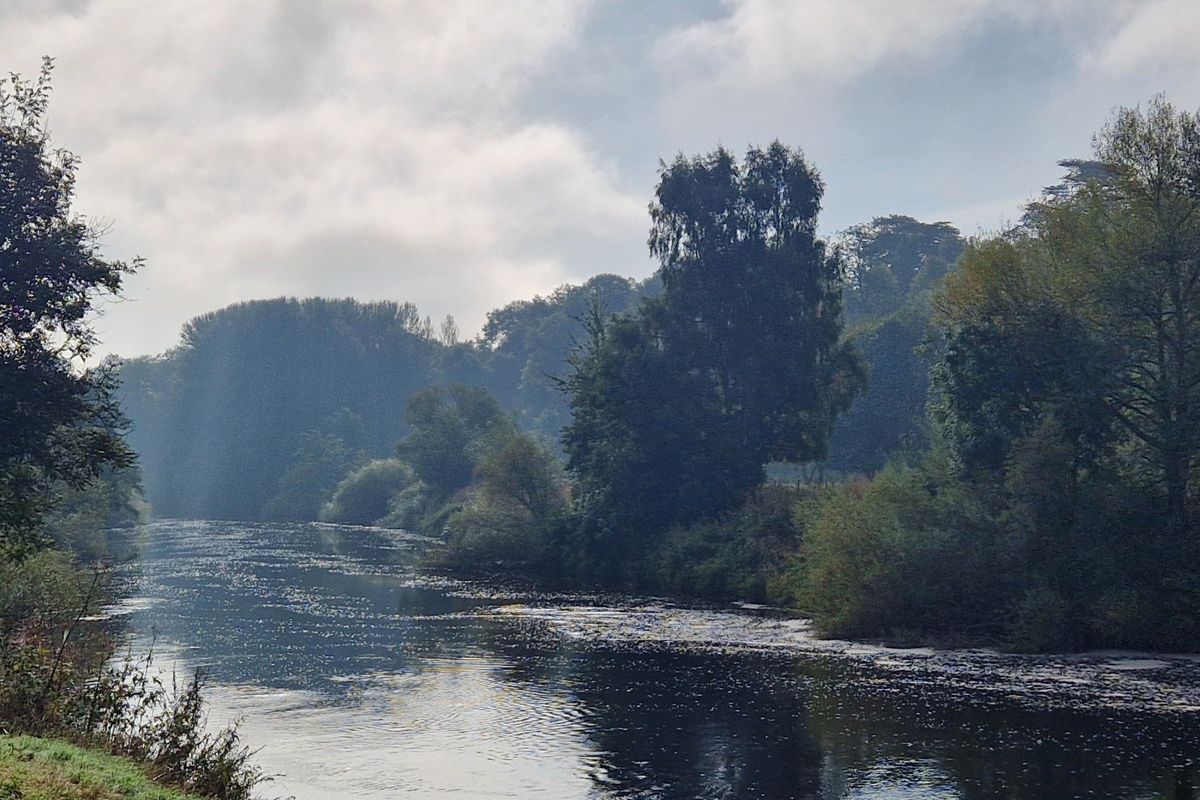 Family Walk: A river and orchards wander around Breinton