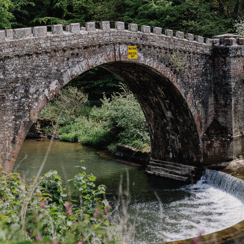 Downton Gorge Bridge
