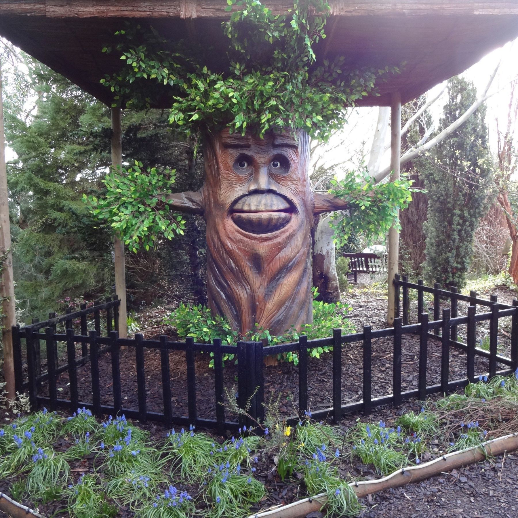 Talking Tree