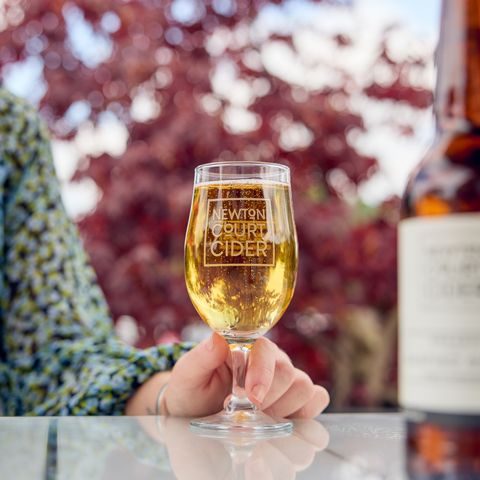 glass of Newton Court Cider