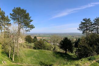 Views over Richards Castle overgrown ramparts 