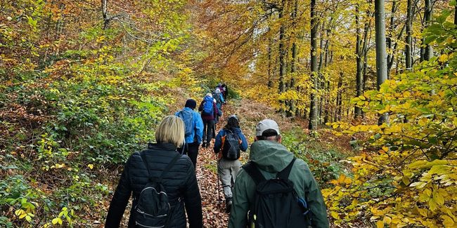 A group of people walking through woodland in autumn