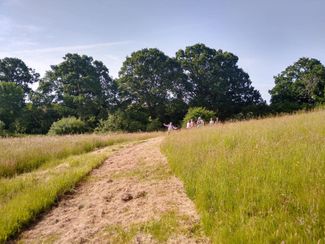 Walking Ross to Little Dewchurch