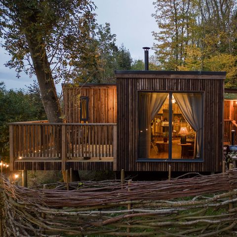 A treehouse in the early evening light
