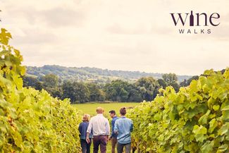 Walking through Frome Valley Vineyard
