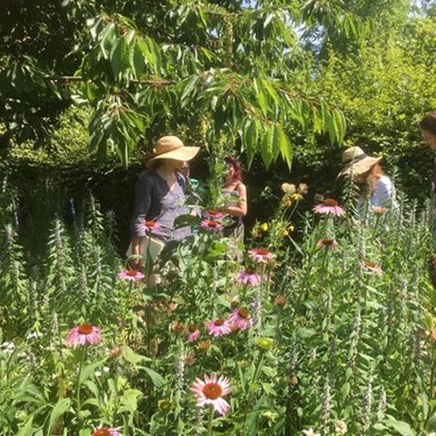Garden at Rowan McOnegal Medicine