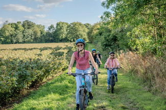 E-bike vineyard tour at The White Heron Estate