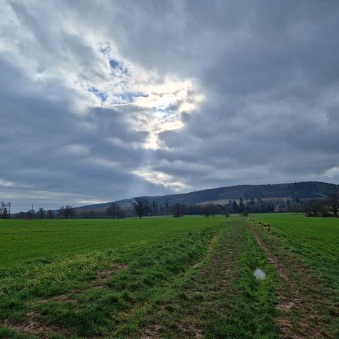 Weobley Countryside Walk - Free Guided Walk in Herefordshire