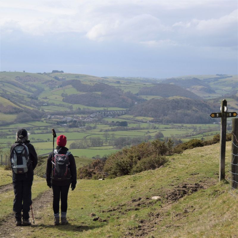 Eco Carriers Luggage Transfer