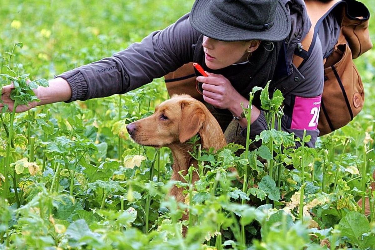 woman with gun dog