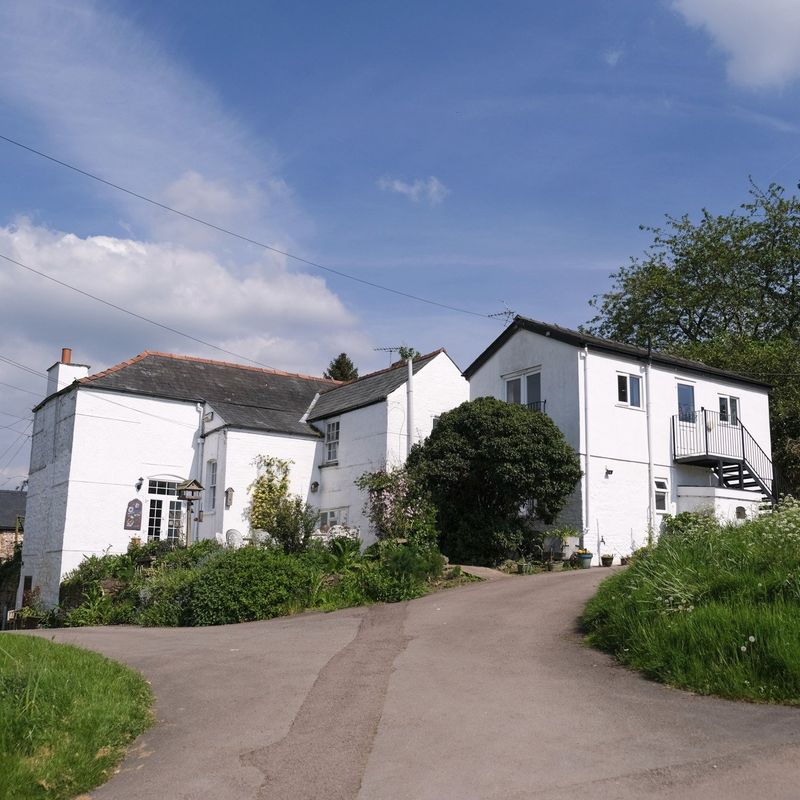 Broome Farm B&B and Cabins