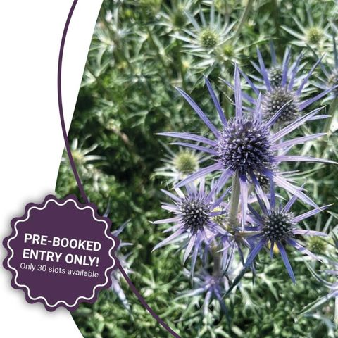 St Michael's Hospice Open Garden - Millfield House