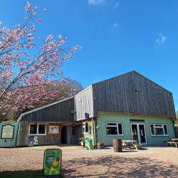 Reception, facilities and games room