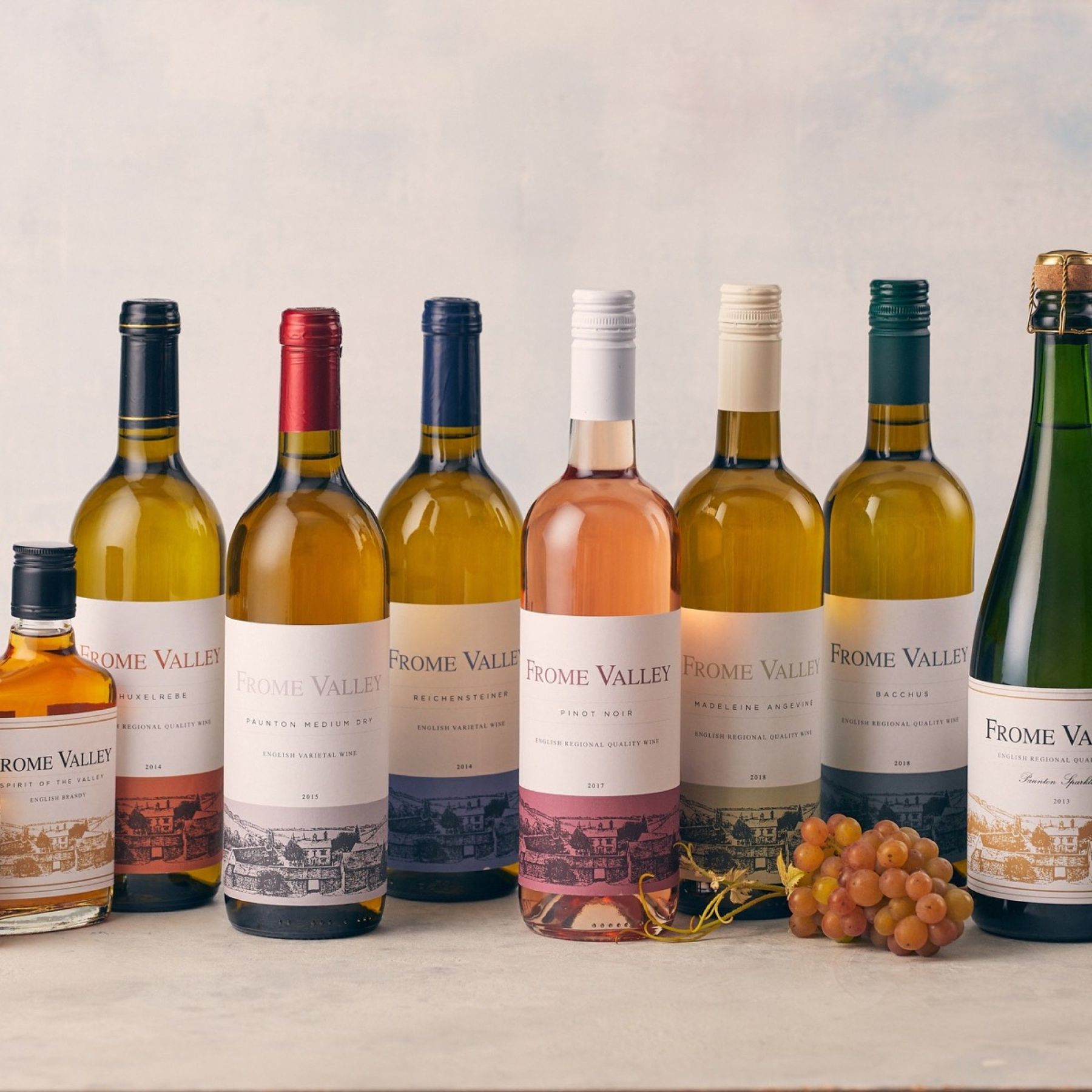 All the grapes from our wines and brandy come from our vineyard