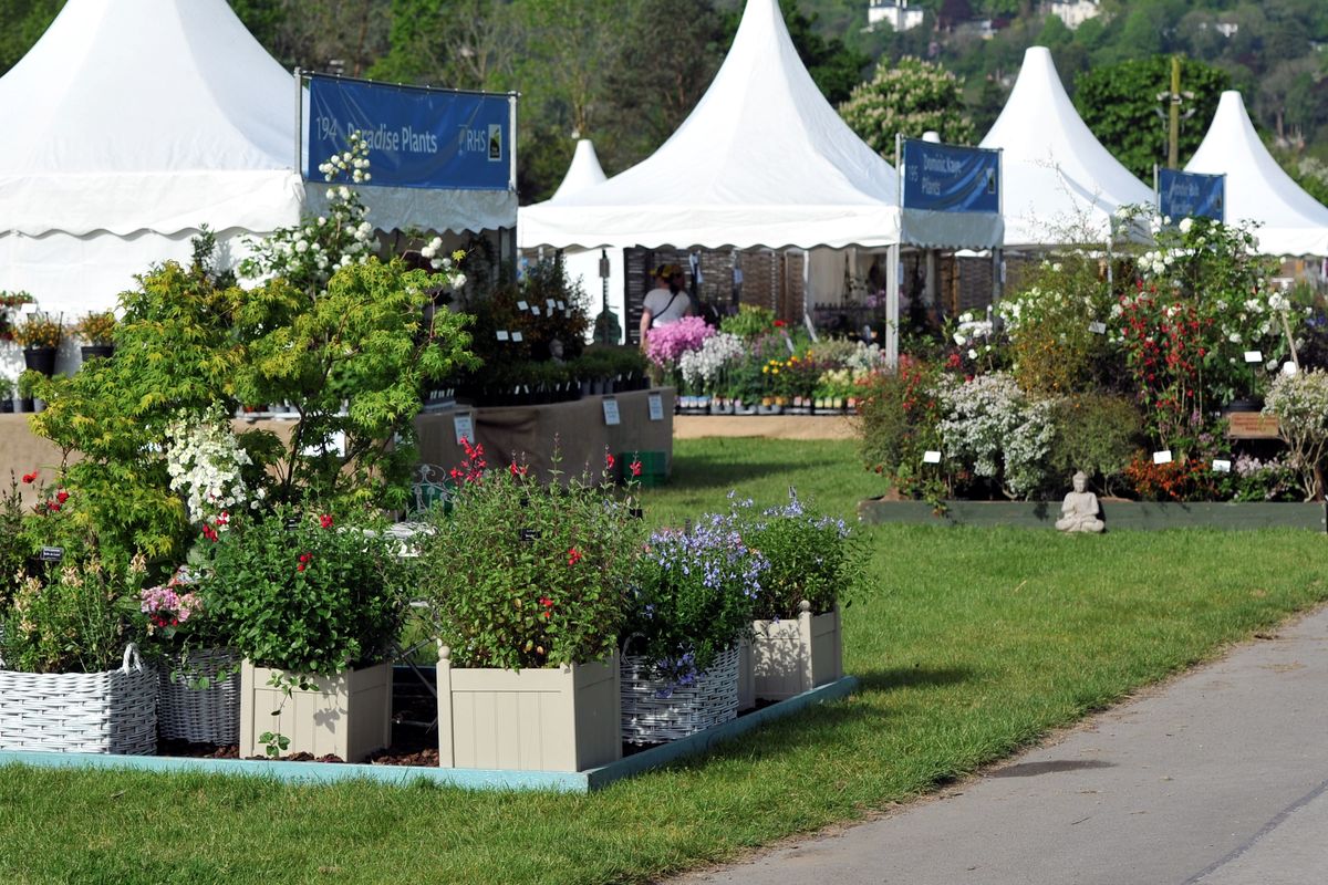 Marquees at the RHS Malvern Spring Show