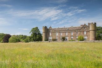 Buttercup meadow leading up to Croft castle