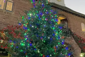 christmas tree ross