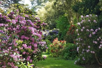 Hedge Croft Gardens 