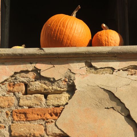 sunlit pumkins on a wall
