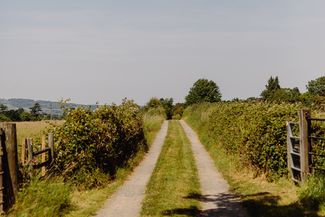 walking path