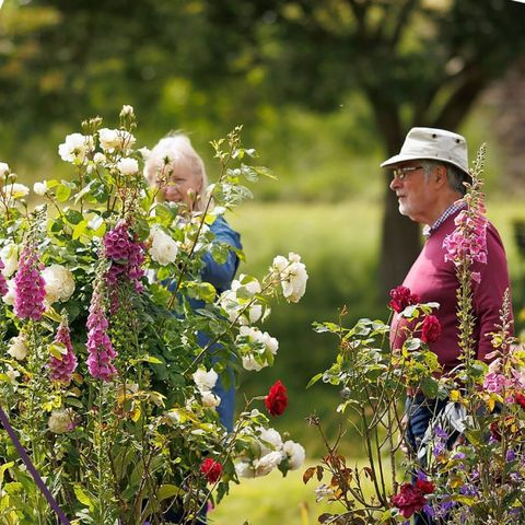 St Michael's Hospice Open Gardens - Treago Castle