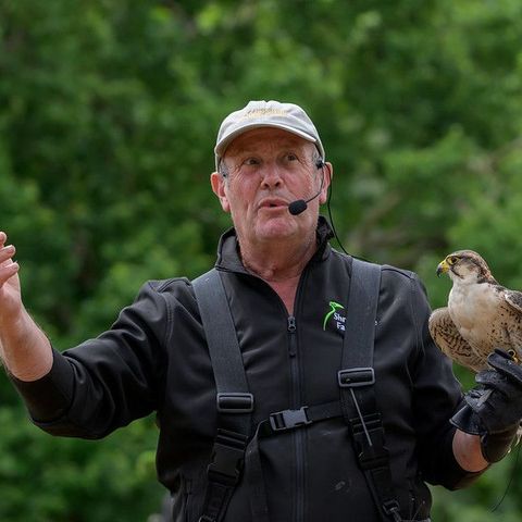 A person giving a talk with a small bird of prey on their arm