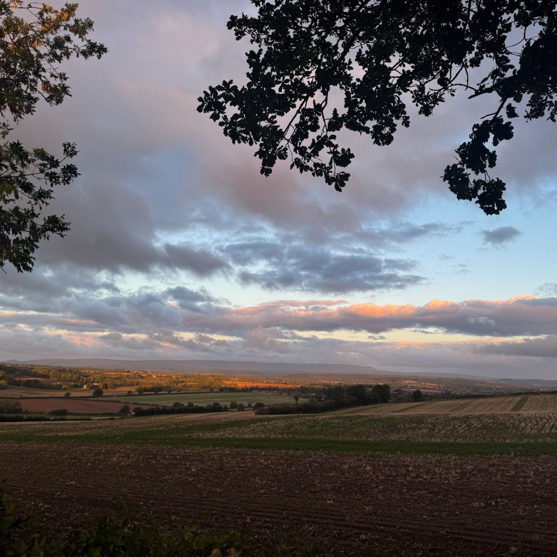 View from the Restaurant