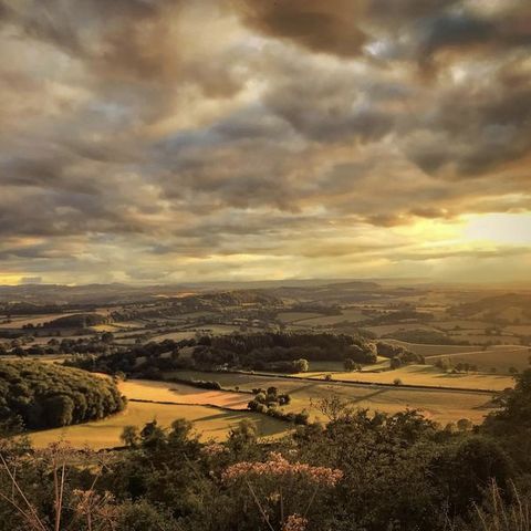 Much Marcle Ridge (Photo credit: Ollie Crunchdog)