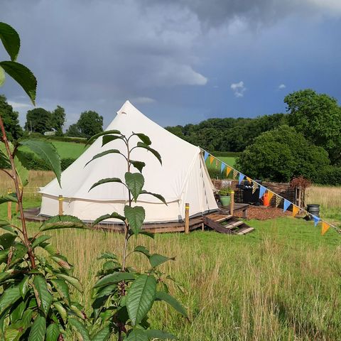 white teepee tent in field surrounded by trees