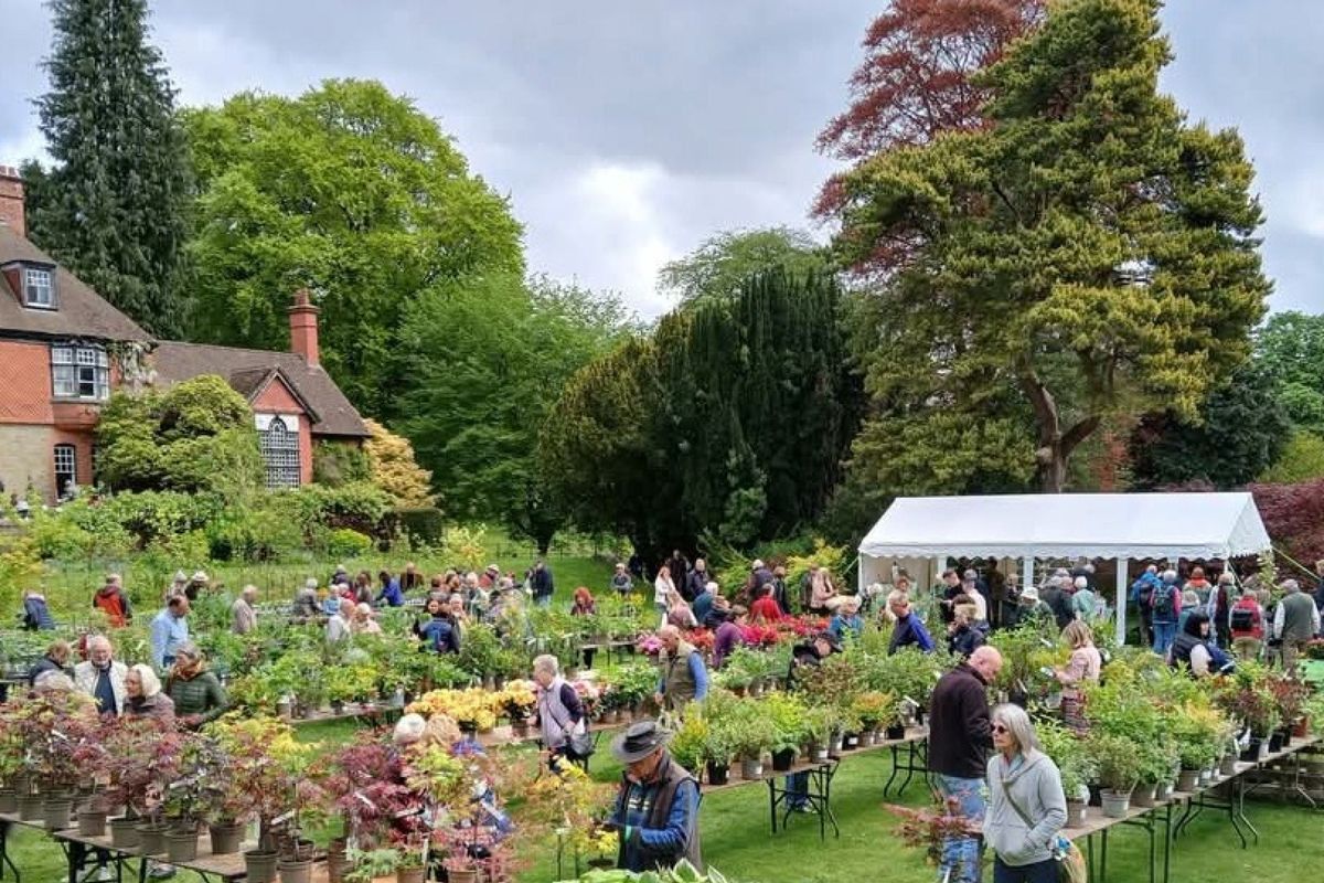 Hergest Croft Gardens Autumn Plant Fair