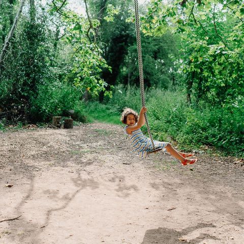 Woodland swing at Hampton Court Castle