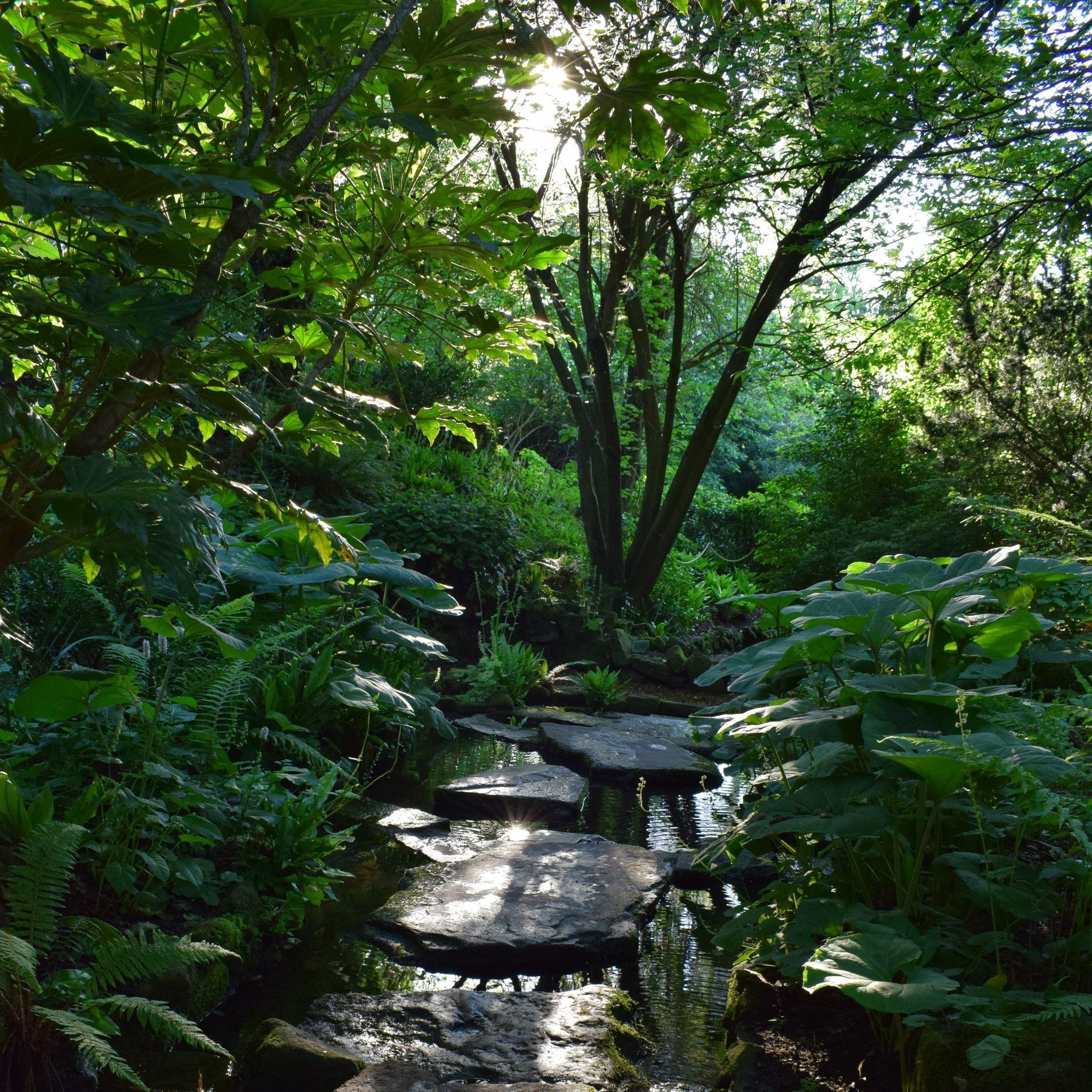 Stepping Stones
