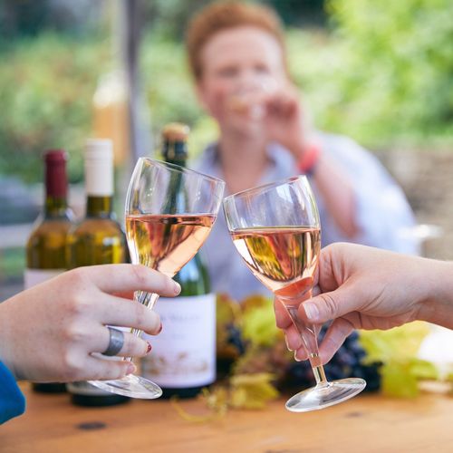 Frome Valley Vineyard