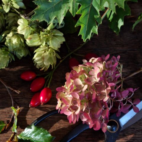 The Globe at Hay: Christmas Wreath Workshops