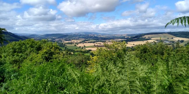Mortimer Trail