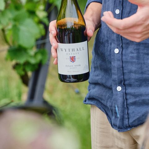 Bottle of red wine being held ready to pour