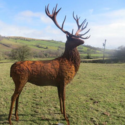 Stag by Miranda Michels