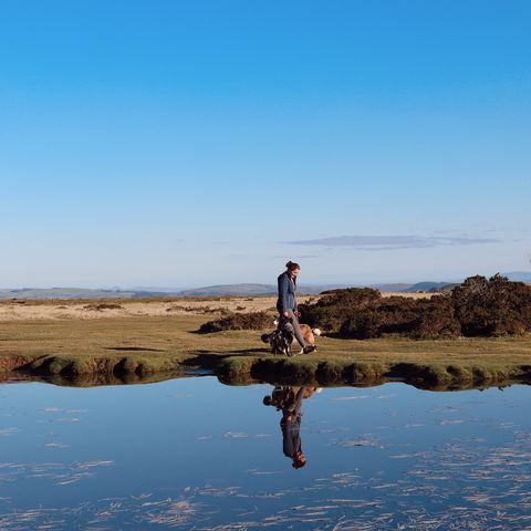 Young woman walking dog reflected in pond on high up landscape