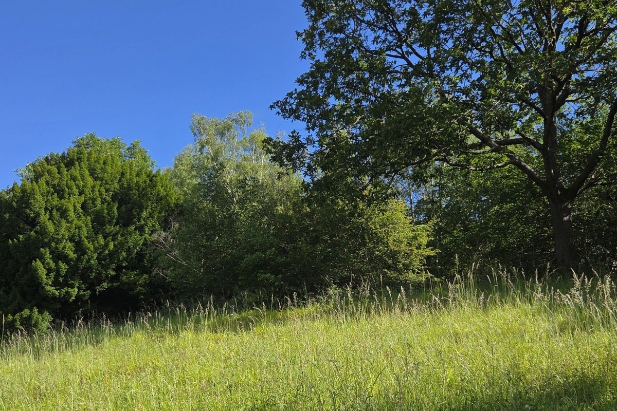 A peaceful and scenic walk