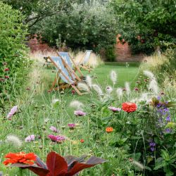 Relax in the walled garden at Berrington Hall