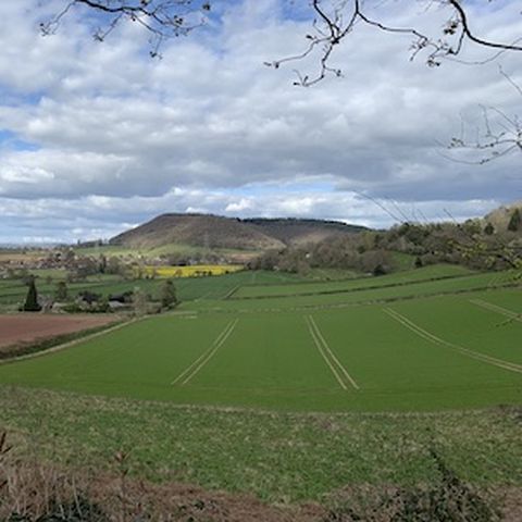 Wythall Estate Wine Walk