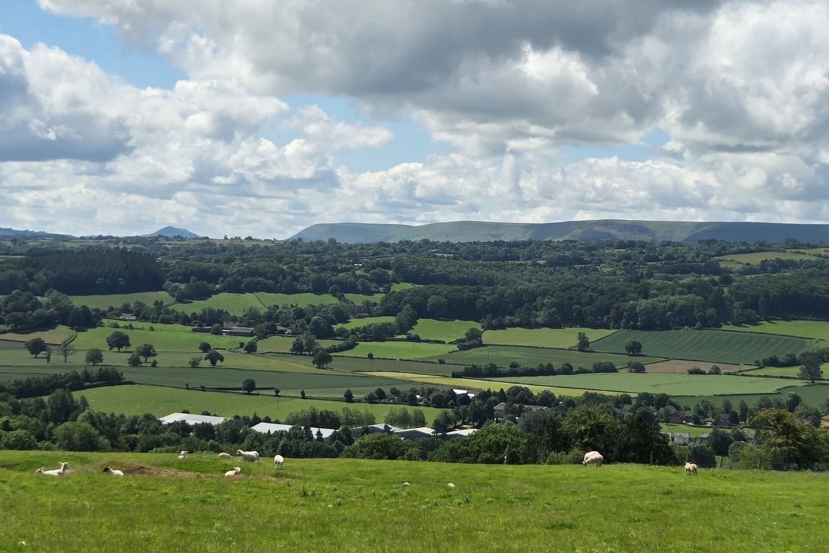 Big views towards the Black Mountains